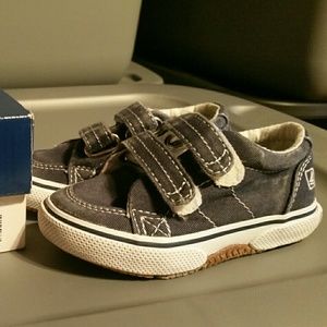 Toddler Boys Sperrys